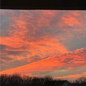 Meet your Posher, Rosemary